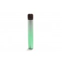 Elf Bar 600 V2 Einweg - Apple Watermelon
