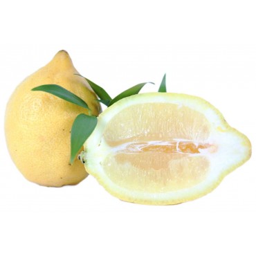 Zitrone Liquid