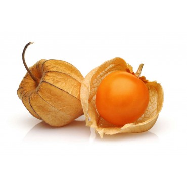 Physalis Liquid