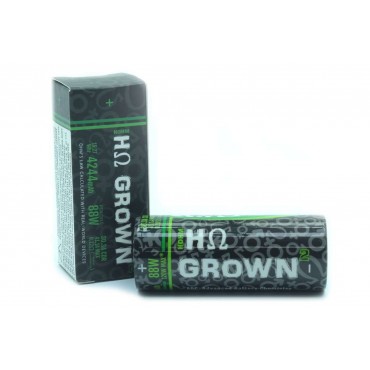 26650 Akku HohmTech GROWN² 4244mAh